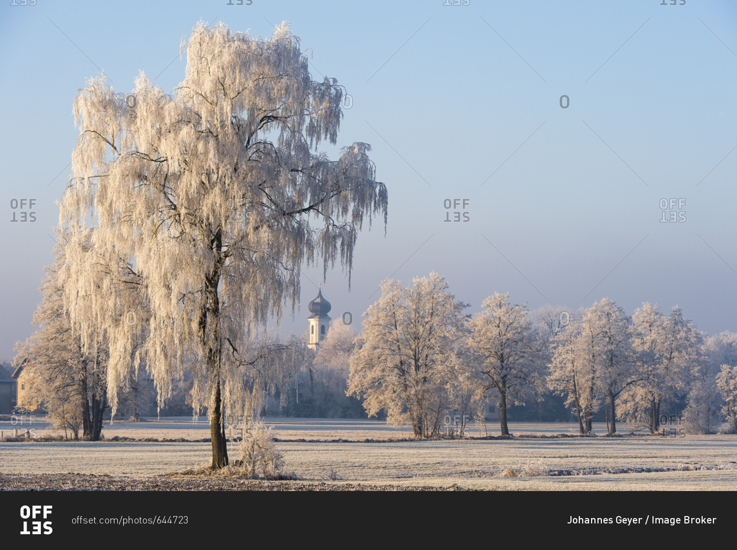 Winter landscape, trees with hoarfrost, steeple in between, Erdinger Moos, Bavaria, Germany, Europe