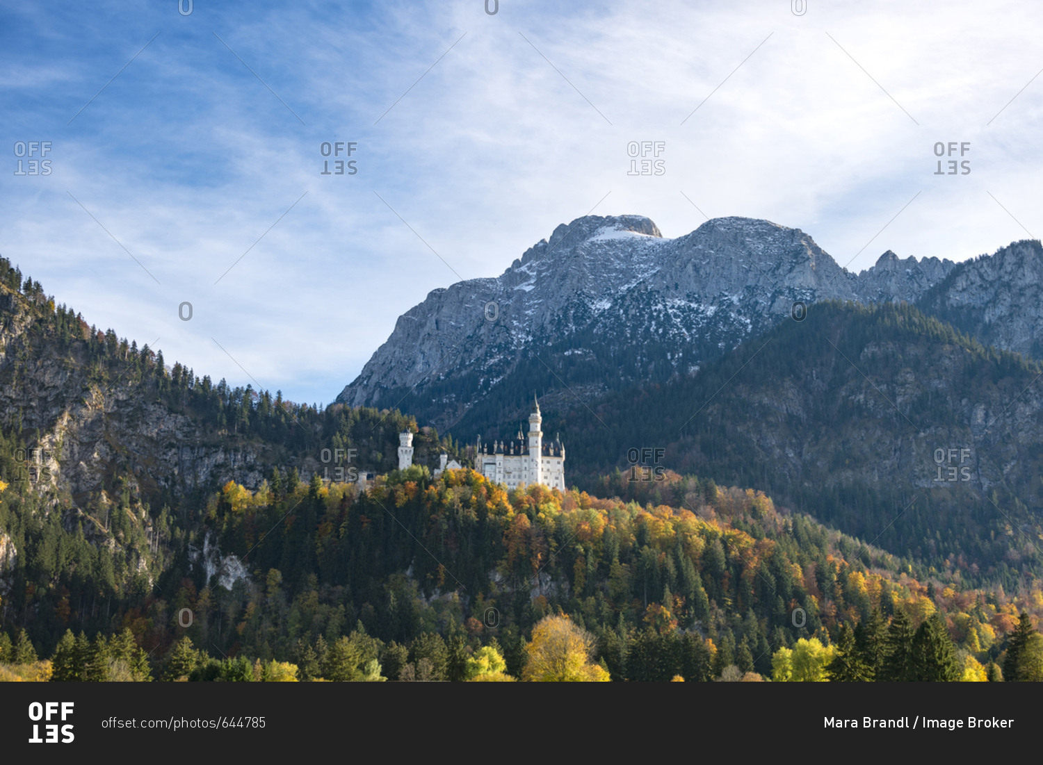 Neuschwanstein Castle in autumn, Schwangau, East Allgau, Allgau, Swabia, Upper Bavaria, Bavaria, Germany, Europe