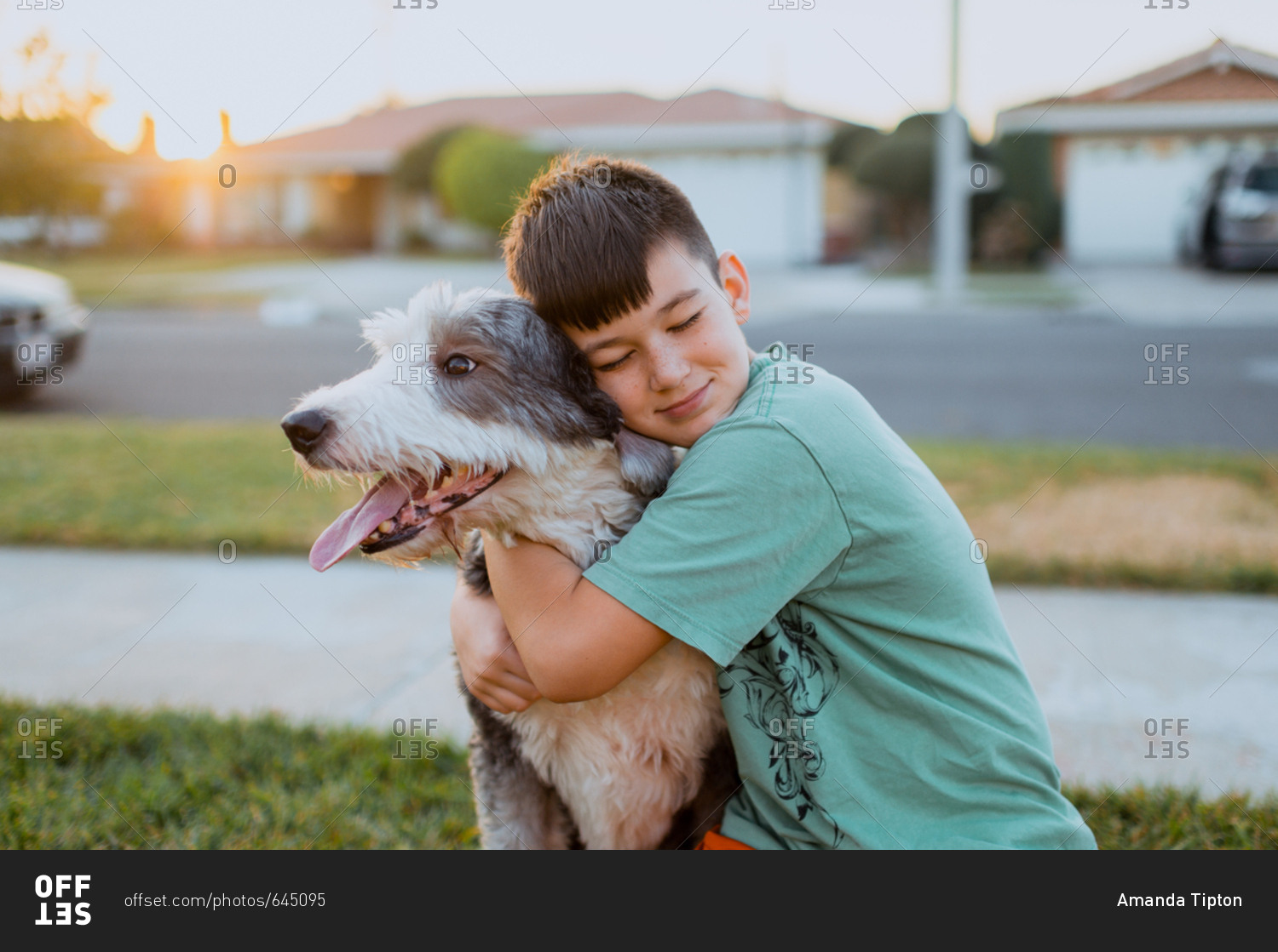 Boy hugging dog at sunset