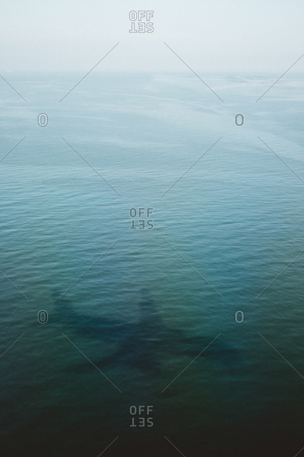 Silhouette of shark swimming under turquoise water of ocean
