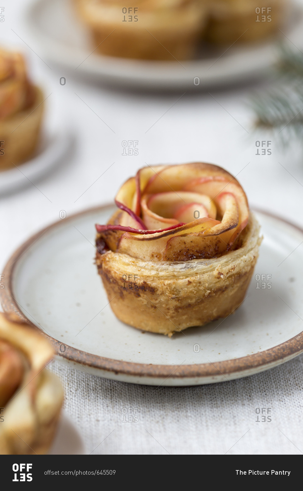 Apple Roses Tarts Stock Photo Offset