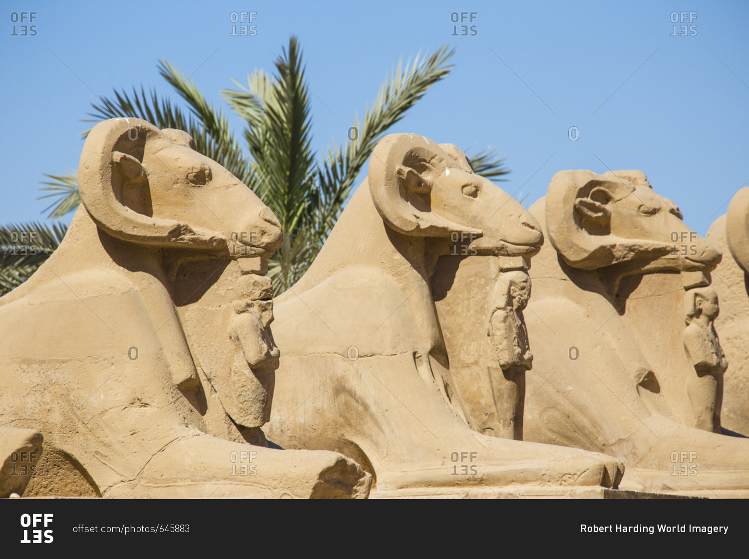 Avenue of Sphinxes, Luxor, Egypt скачать