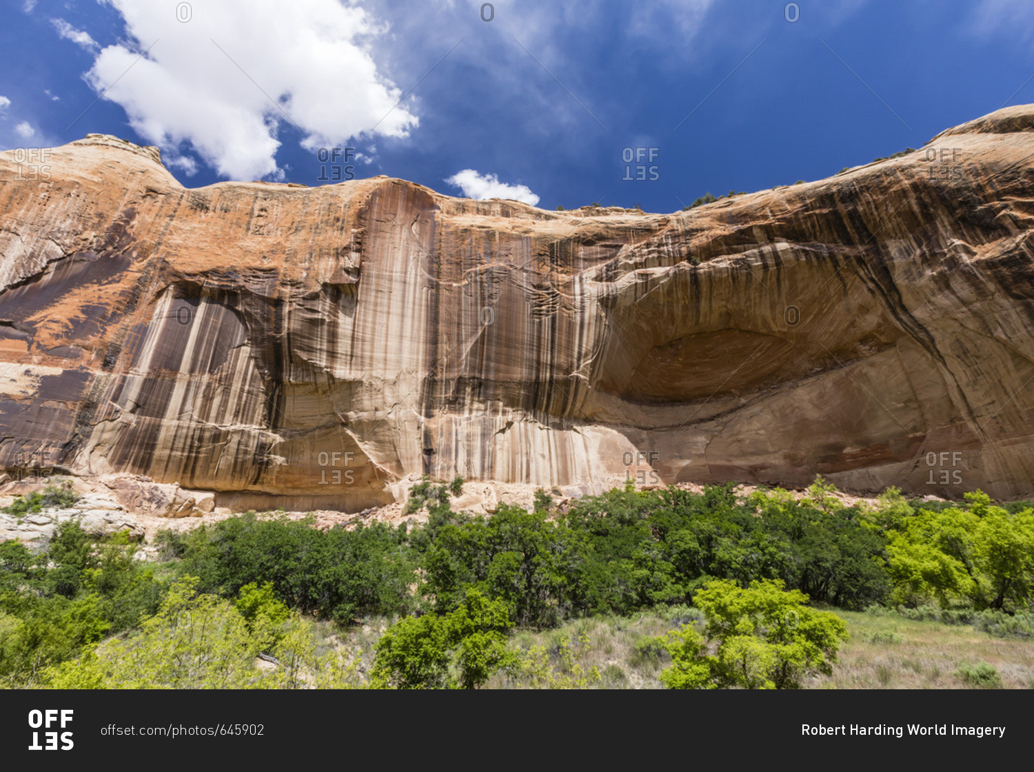 Navajo sandstone in Lower Calf Creek Falls Trail, Grand Staircase-Escalante National Monument, Utah, United States of America, North America