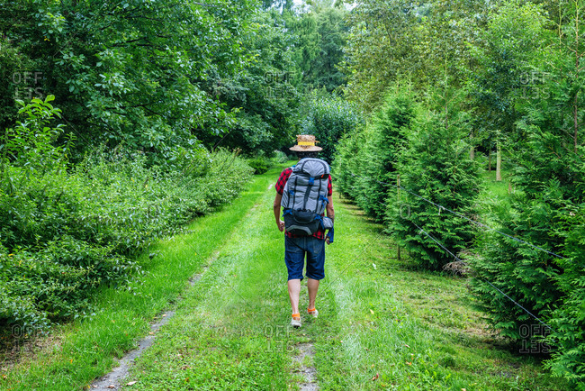 France- Strasbourg- man with travel backpack and straw hat walking on forest path