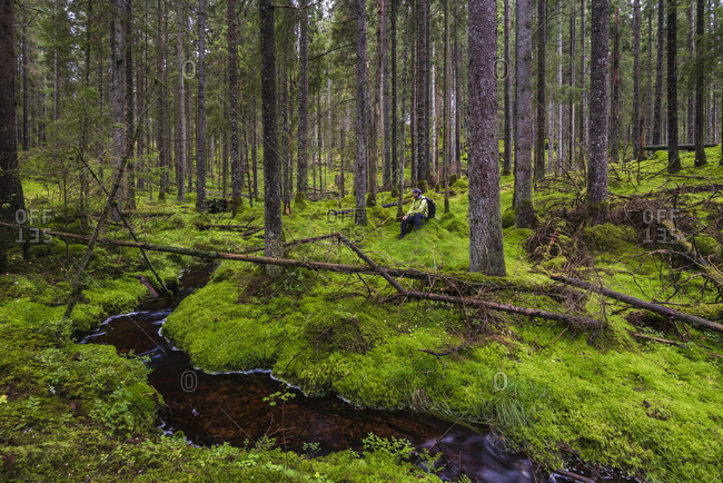 Vastergotland, Sweden, Scandinavia - September 20, 2017: Hiker resting in forest