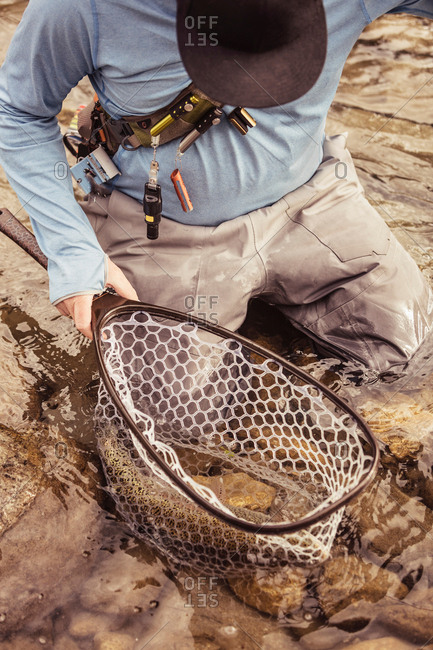 Hand of fisherman holding caught fish in river, Mozirje, Brezovica,  Slovenia stock photo