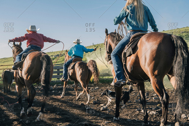 Cowboys and cowgirls on horses lassoing bull, Enterprise, Oregon, United States, North America