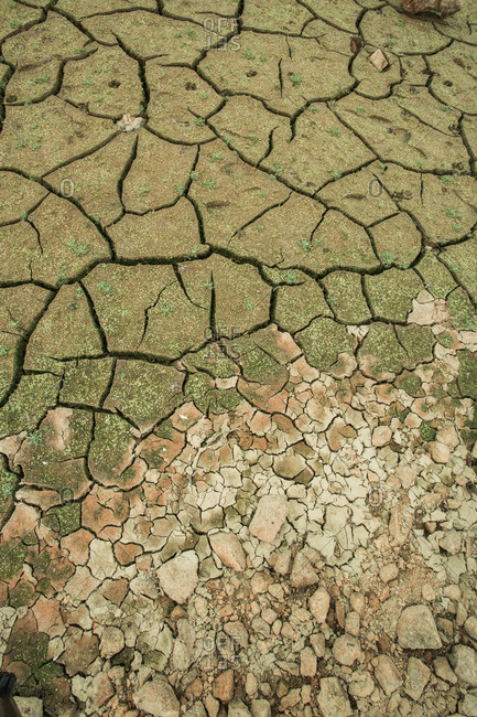 Dry riverbed due to drought