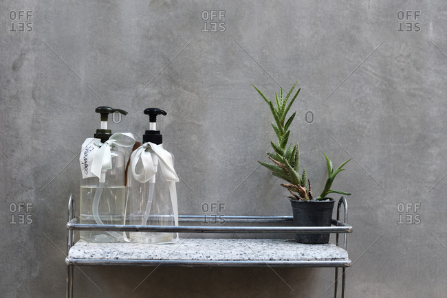 Home decor with cactus plant dispensers in bath