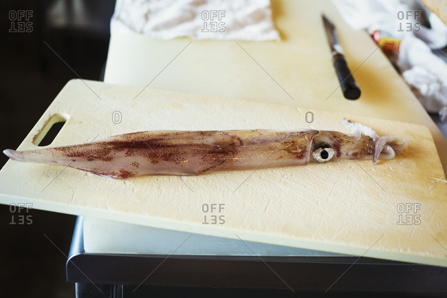 High angle close up of a squid on chopping board  on counter at Japanese sushi restaurant