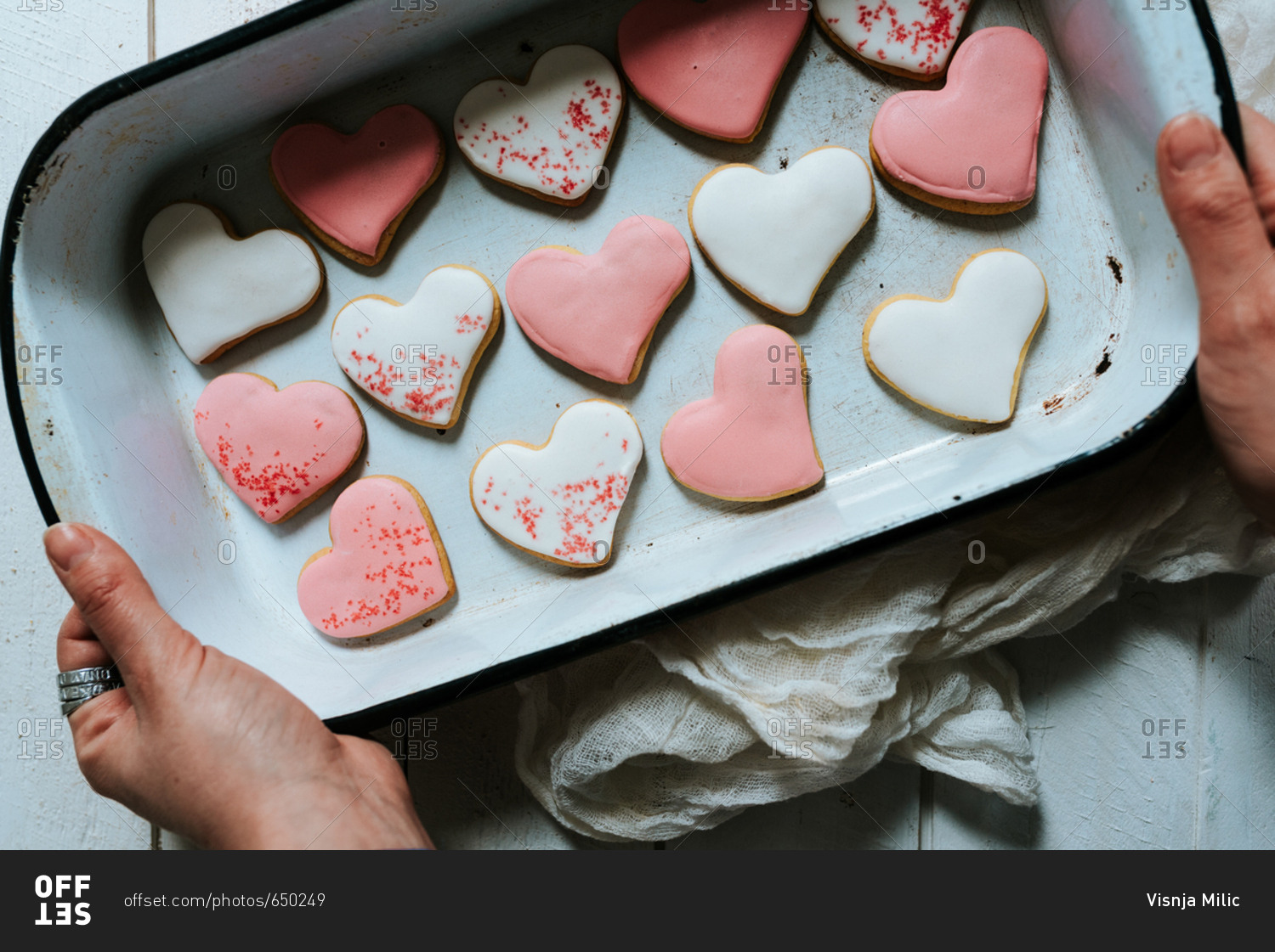 White and pink heart-shaped gingerbread cookies placed in baking tray on white background creating pattern