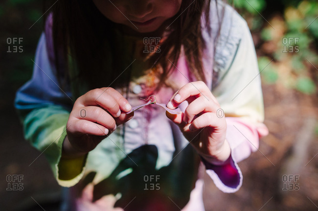 Little girl examines plant leaf