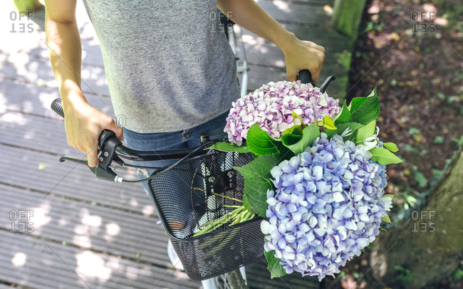 Woman with bicycle with a bouquet of hydrangeas in the basket