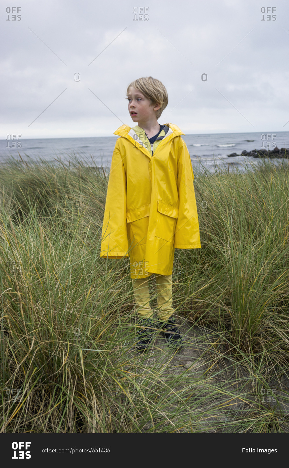 A young boy in the tussock grass at the beach in wet weather gear