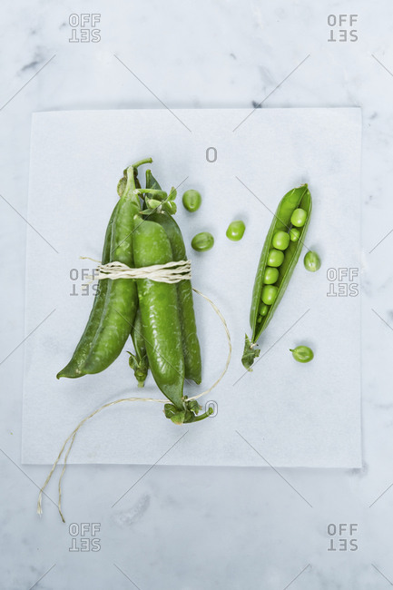 Open pea pod lying next to bunch of pea pods tied together with twine