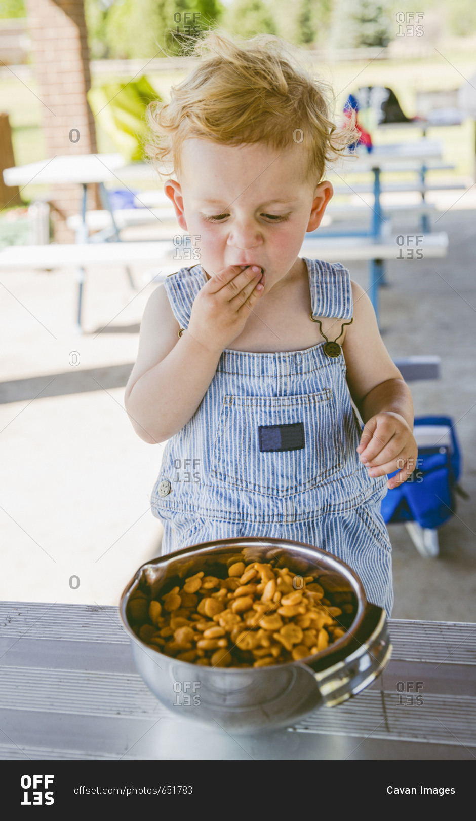 Cute boy wearing bib overalls while eating crackers from bowl