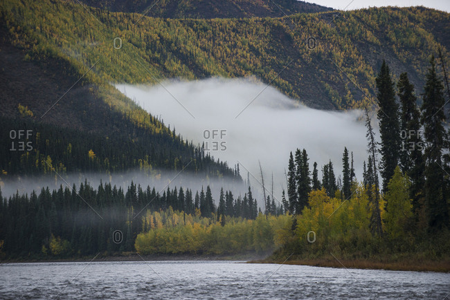Scenic view of river by trees Yukon Charley Rivers National Preserve during foggy weather