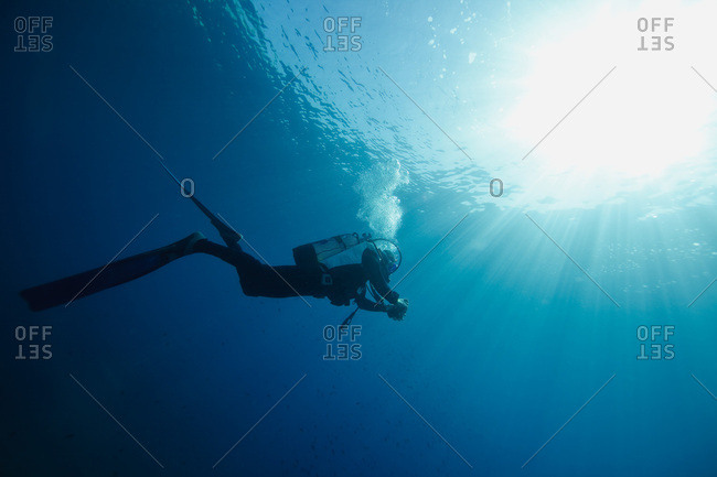 Diving, Sunlight, Adriatic Sea, Croatia, Europe