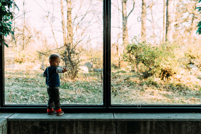 Little boy standing by window at zoo pointing