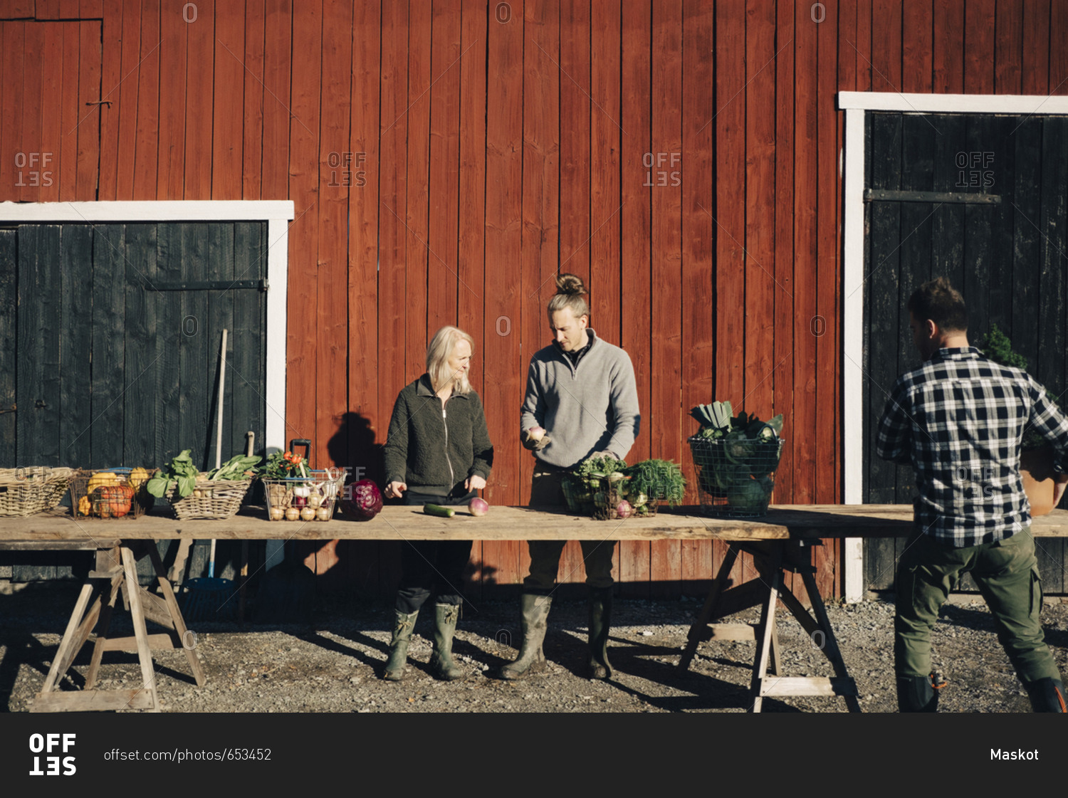 Male and female farmers arranging organic vegetables on table outside barn