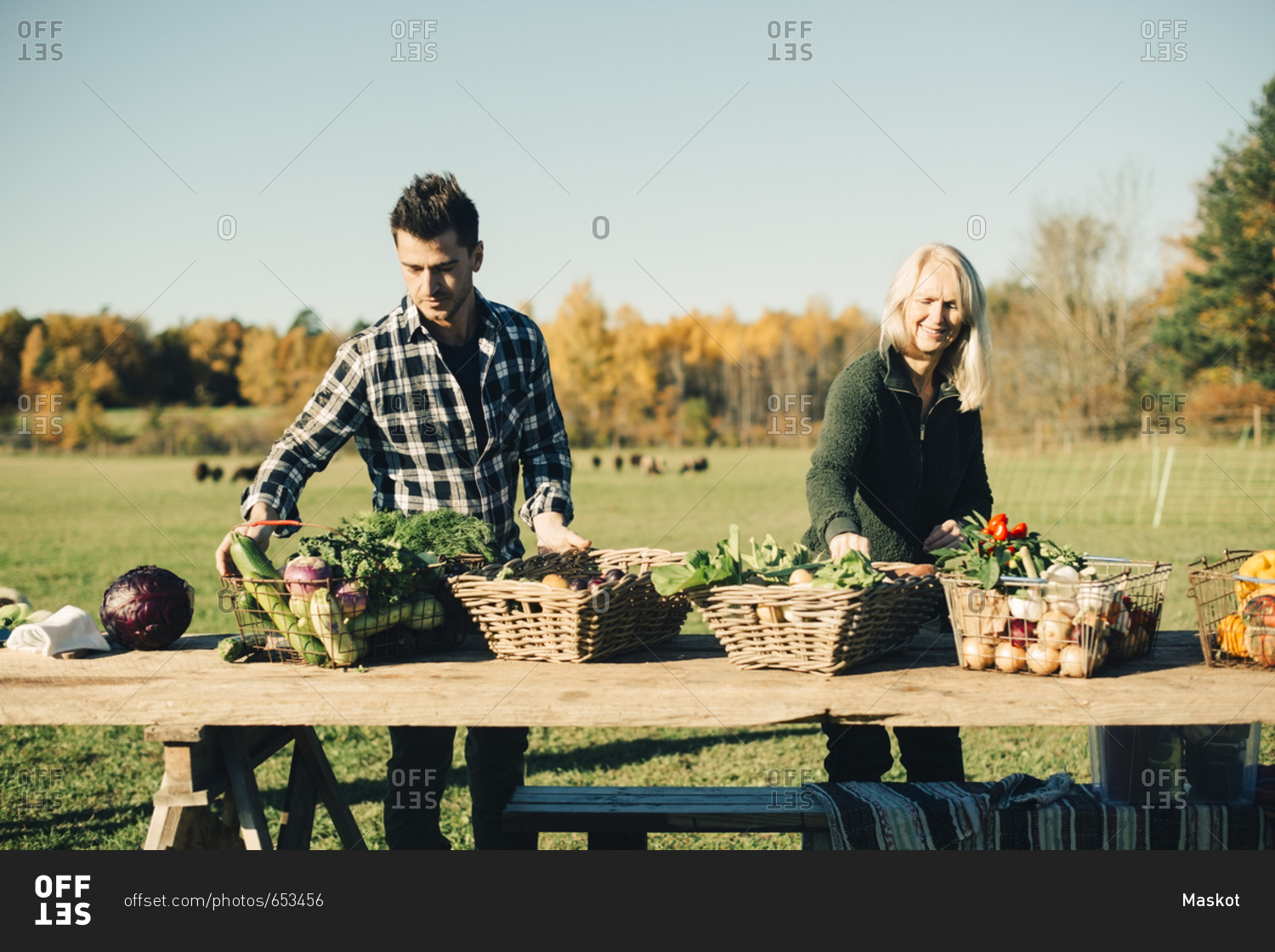 Male and female farmers arranging organic vegetables for sale on table