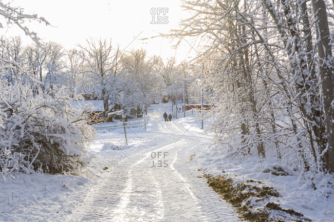 Rural Road Covered In Snow Jarfalla Sweden Stock Photo