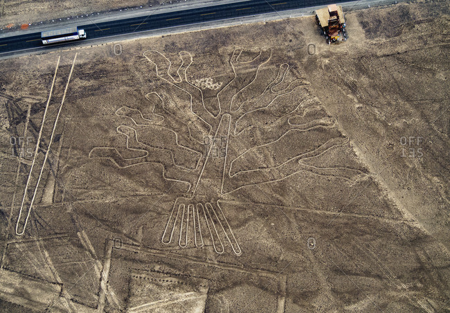 The Tree Geoglyph, aerial view, Nazca, UNESCO World Heritage Site, Ica Region, Peru, South America