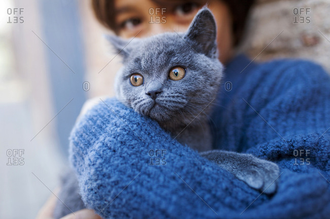 Boy holding his pet kitten