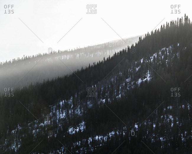 Mountains and forest at winter