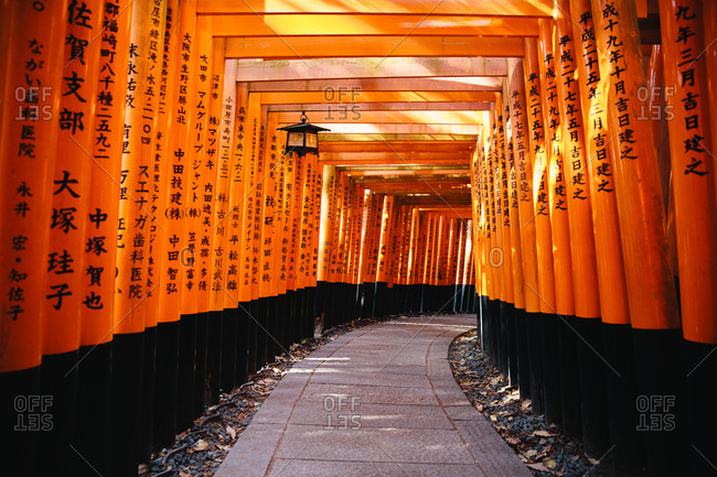 Interior Torii gate structure