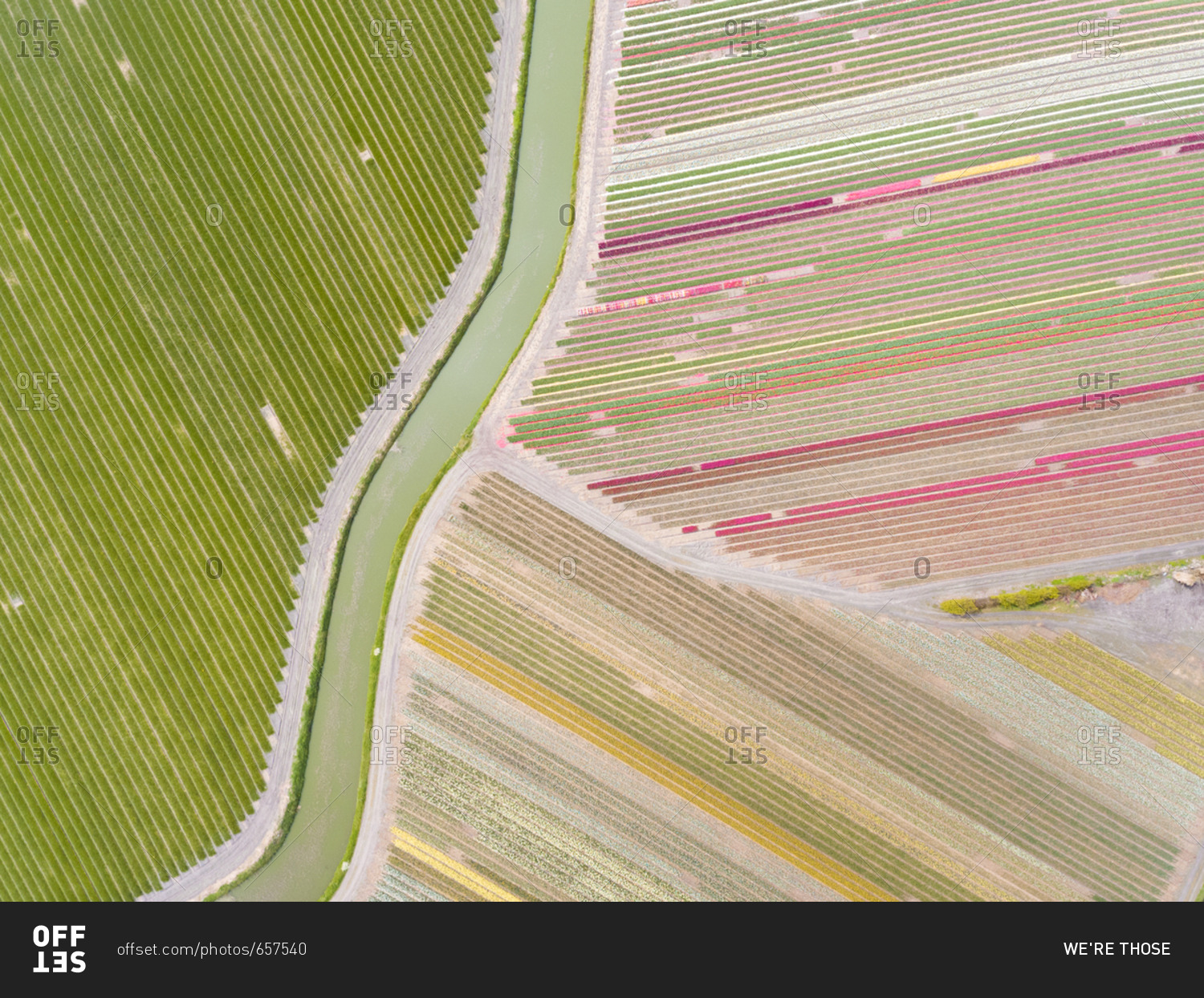 Aerial photography of  colorful tulips fields in Voorhout, Zuid-holland, the Netherlands.