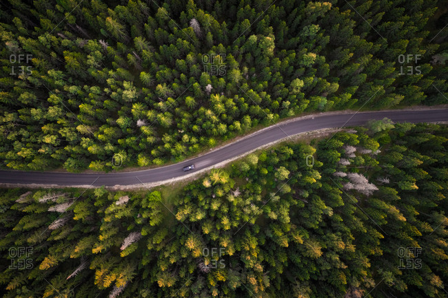 Aerial view of car on empty road in the forest in Estonia.
