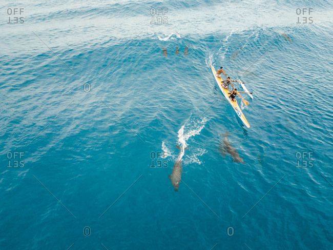 FRENCH POLYNESIA - 15 September 2017 : Aerial view of three locals paddling with dolphins in sea in French Polynesia.