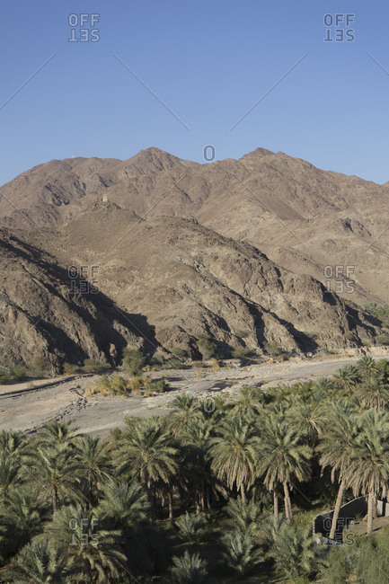 Valley of date plantations south of Muscat, in the Sumail Gap, Oman