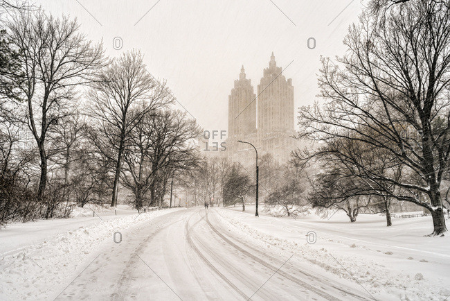 Blizzard Conditions In Central Park; New York City, New York, United States Of America