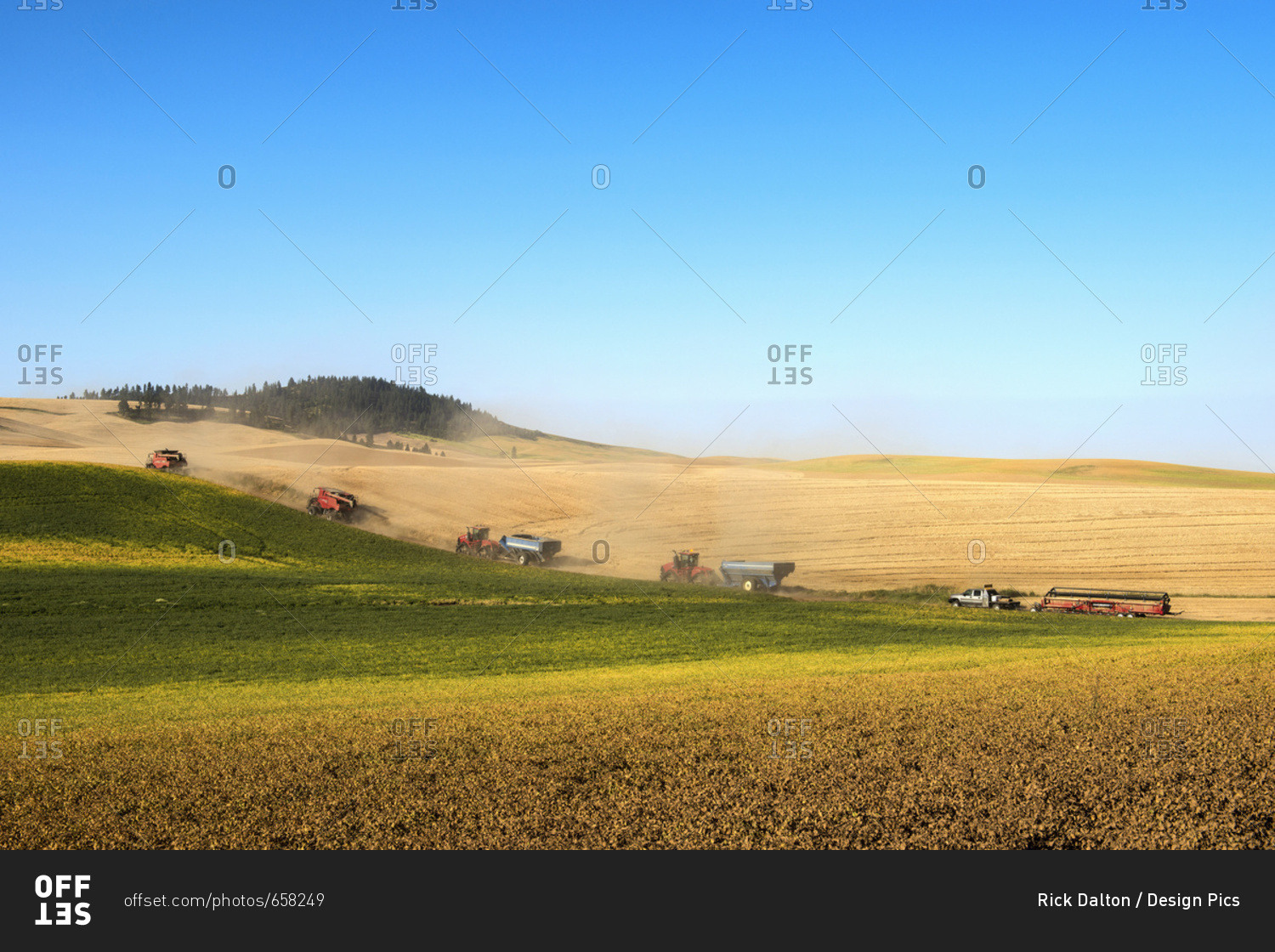 Harvesting A Crop On Fields Against A Blue Sky; Washington, United States Of America