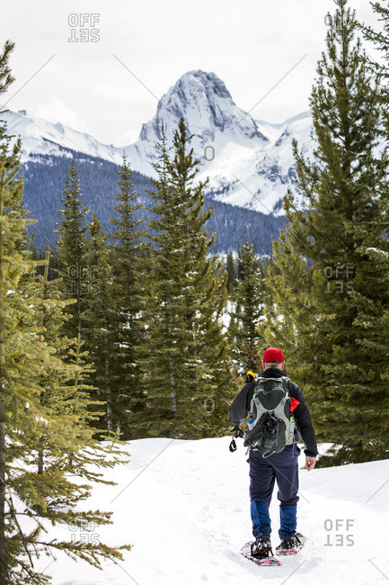 Male Snowshoer On Snow Covered Trail With Snow-Covered Mountain In The Background; Alberta, Canada