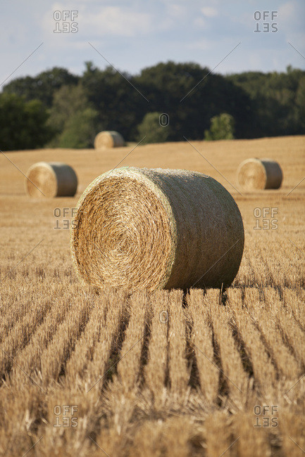 Round Bales Stock Photos Offset