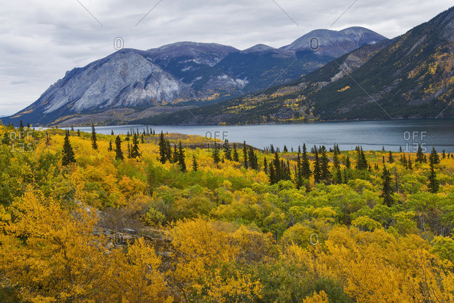 Autumn Scenic Of Tagish Lake South Of Whitehorse, Yukon Territory, Canada