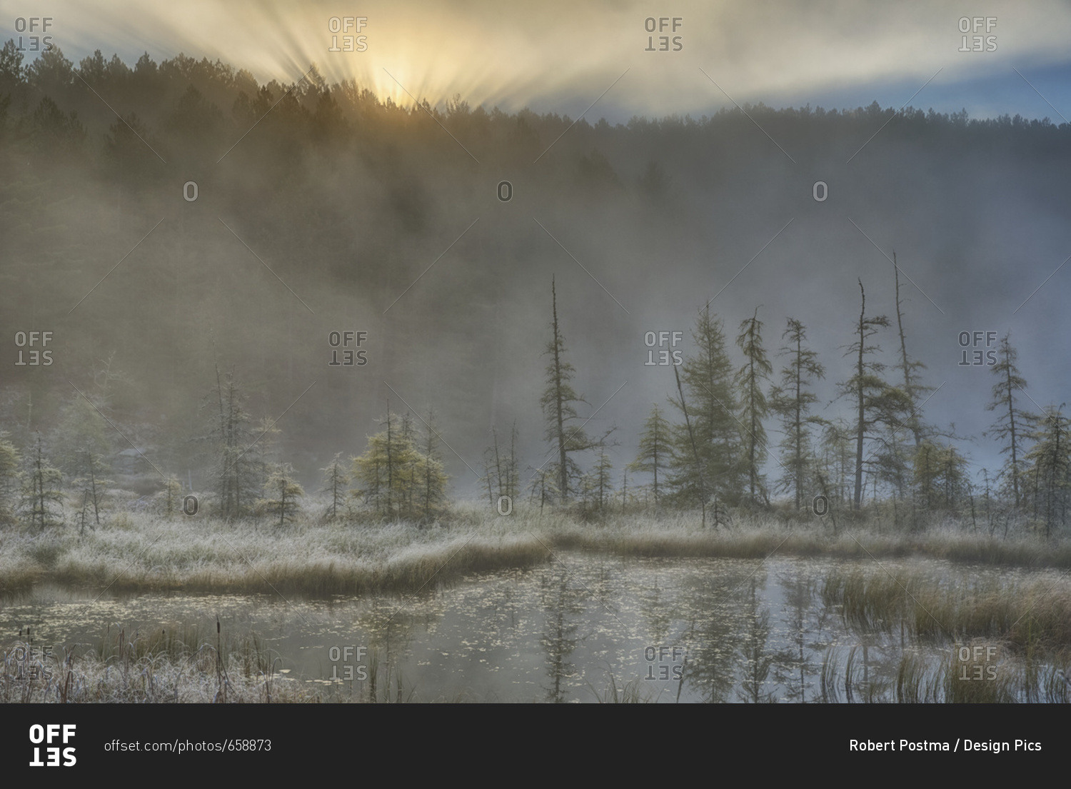 Early Morning Mist Over A Small Pond Along The Rock Lake Road As Sun Shines Through The Fog, Algonquin Park; Ontario, Canada