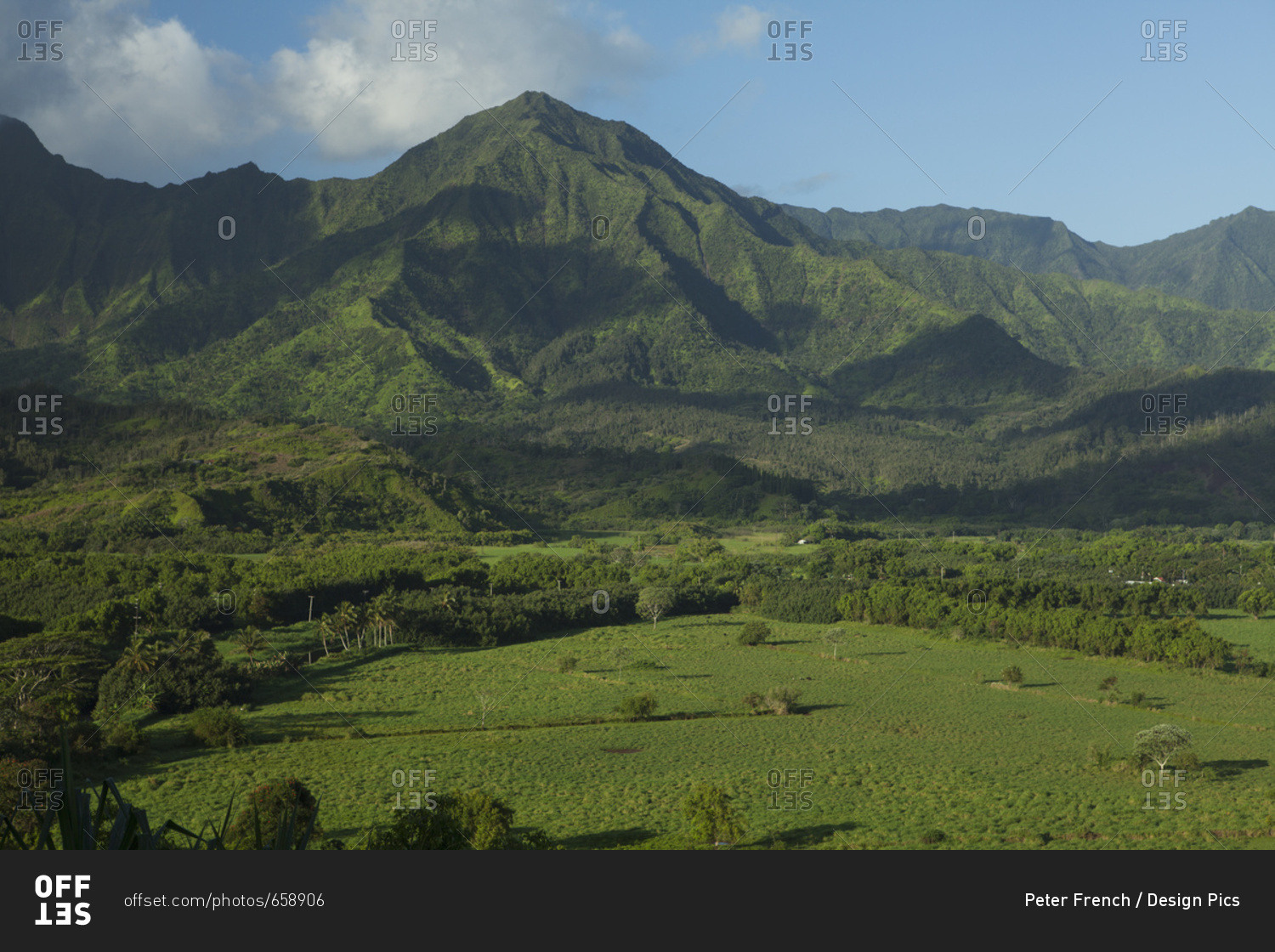 Hanalei Valley And Valley Walls; Kauai, Hawaii, United States Of America