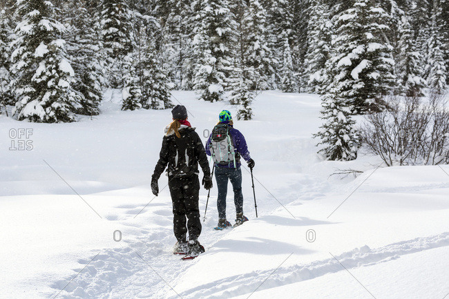 Two Female Snowshoers On A Snow Covered Trail Around Snow Covered Evergreen Trees; Kananaskis Country, Alberta, Canada