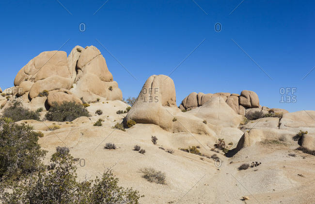 Landscape In Joshua Tree National Park; California, United States Of America