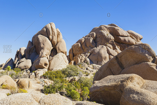 Landscape In Joshua Tree National Park; California, United States Of America