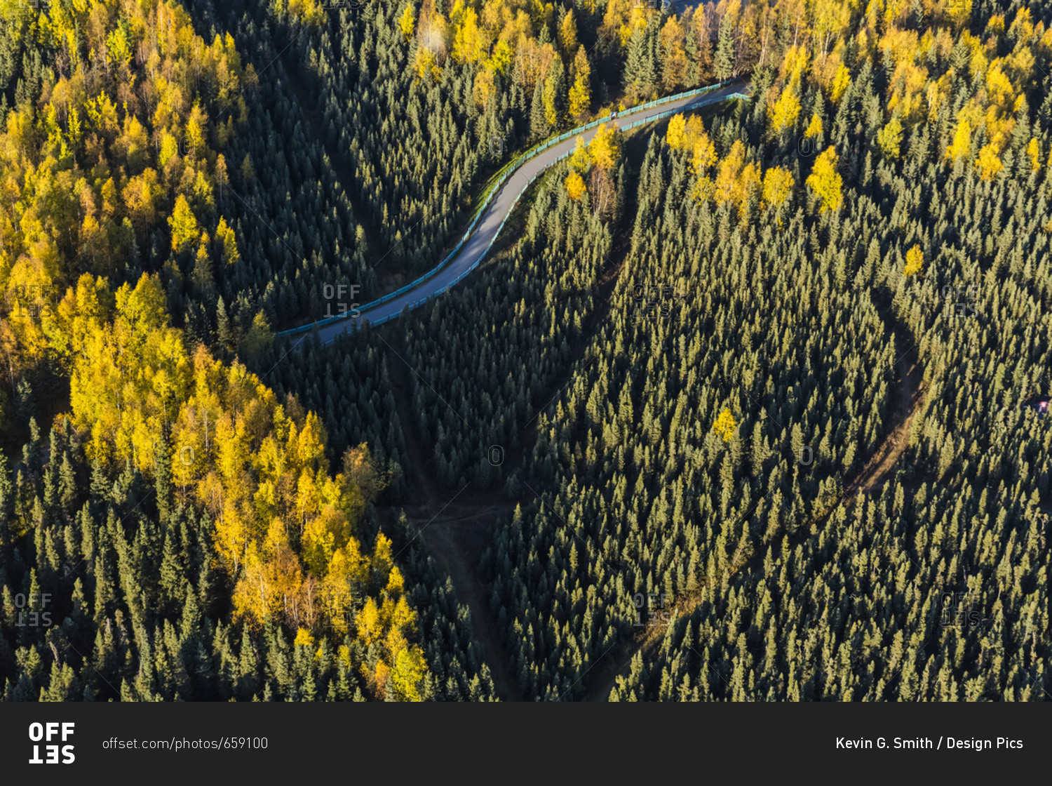 Aerial View Of The Chester Creek Bike Trail Winding Through Spruce And Birch Forests; South-Central Alaska; Anchorage, Alaska, United States Of America