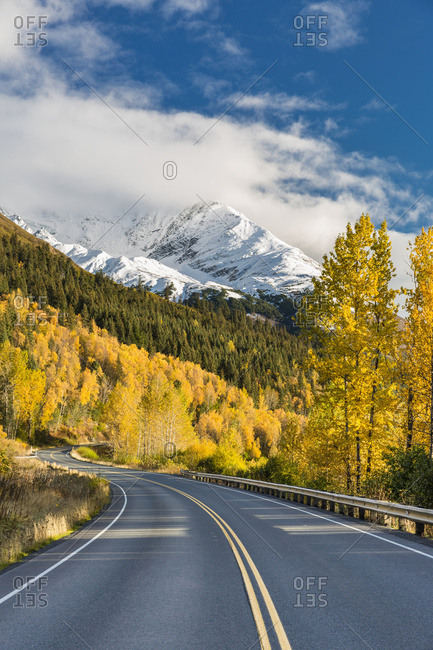 Snow-Capped Kenai Mountains Dwarf The Seward Highway, Trees Covered In Yellow Leaves In Autumn Line The Road, South-Central Alaska; Seward, Alaska, United States Of America