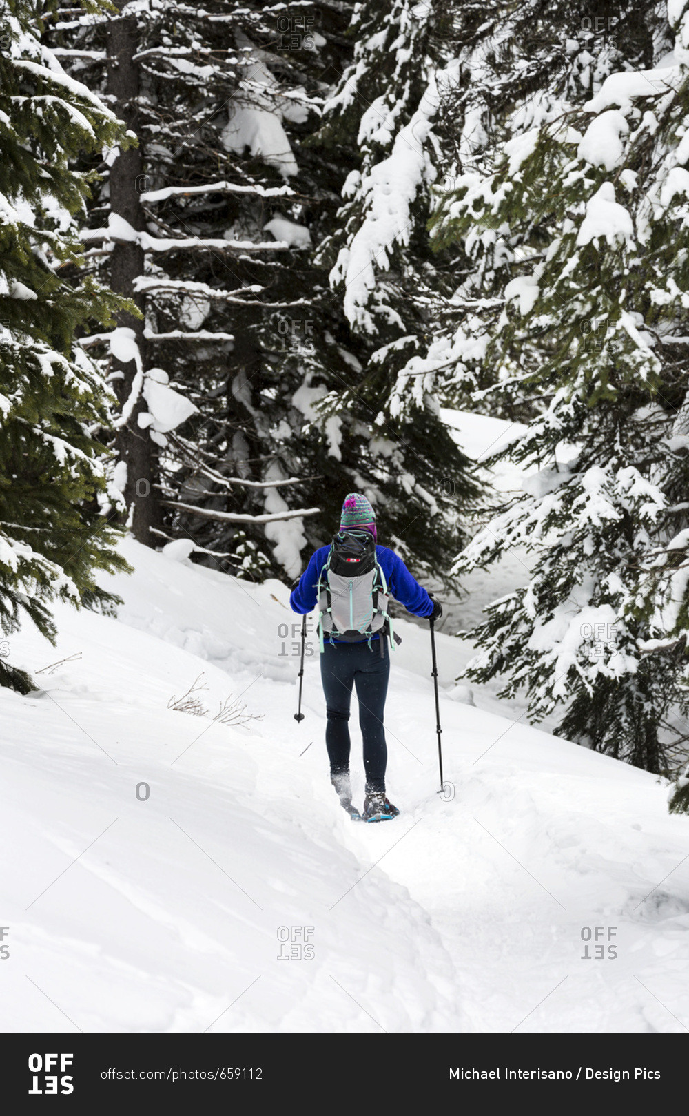 Female Snowshoeing Along A Trail In A Snow Covered Forest, East Of Field; British Columbia, Canada
