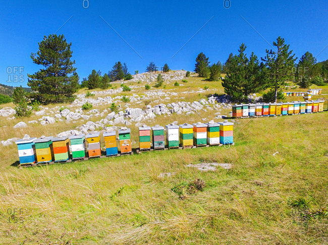 Bee hives on hills of Dinara mountain, Croatia.