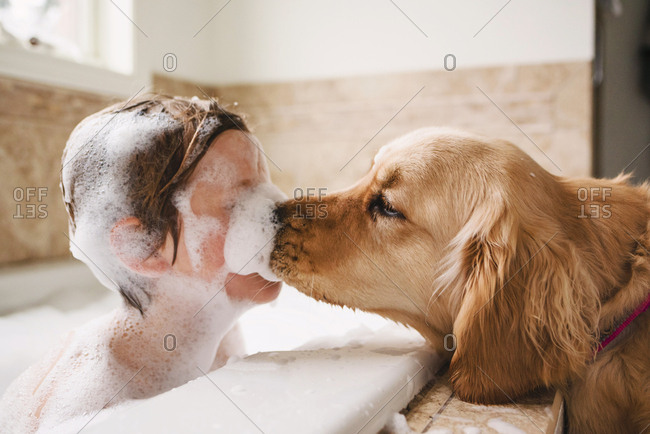 Dog Licking Kid In A Bubble Bath Stock, Why Does My Dog Lick The Bathtub