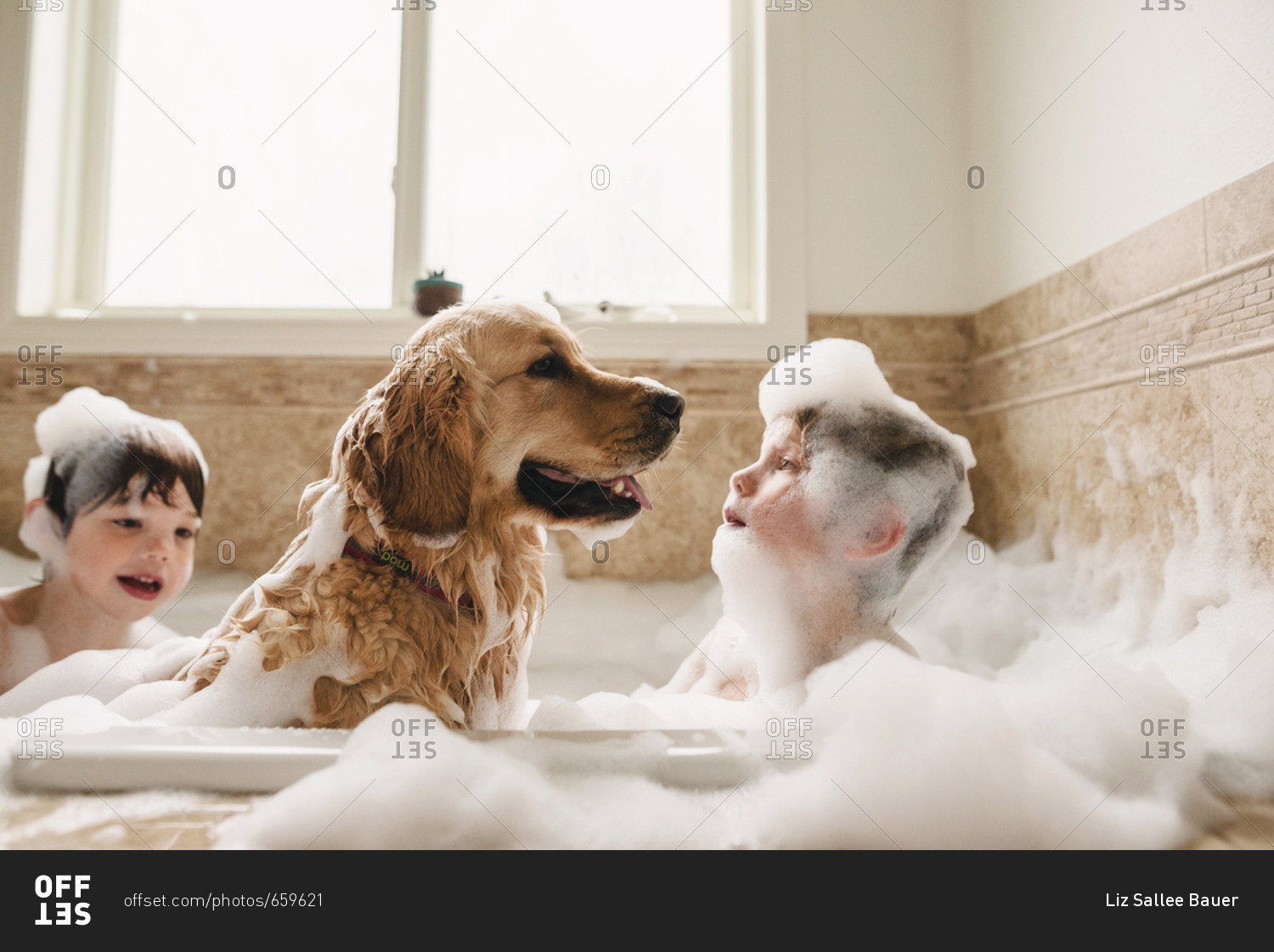 Boys bathing a dog in a bubble bath stock photo OFFSET